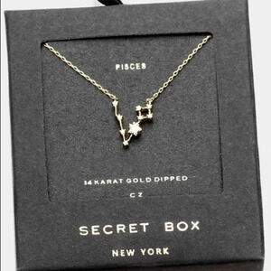 Pisces 14k gold dipped necklace - Astrology Zodiac